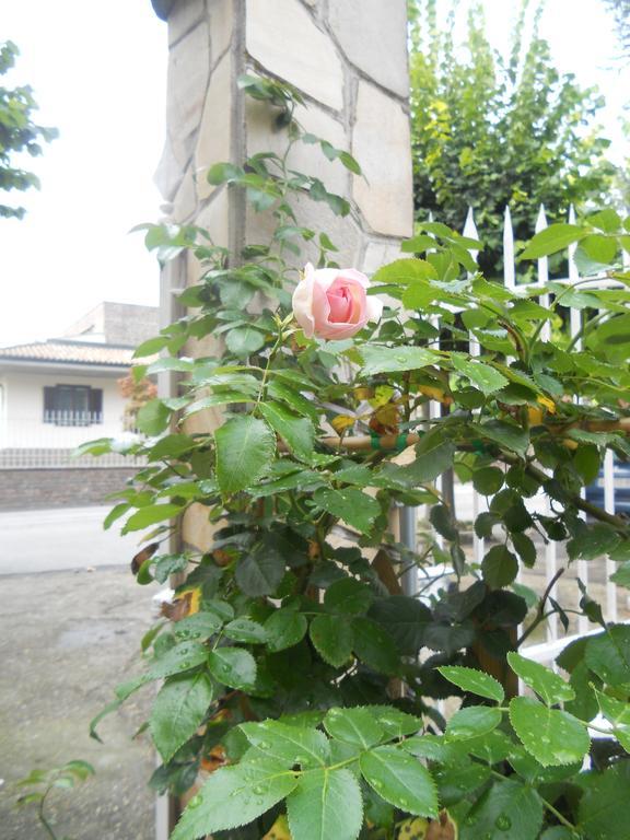 Beb Villa Aurora Carmagnola Luaran gambar